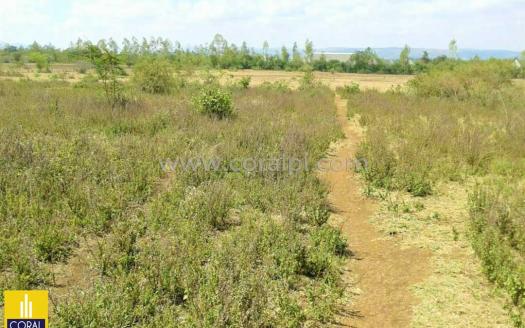 Prime 107 Acres Land For Sale In Naivasha