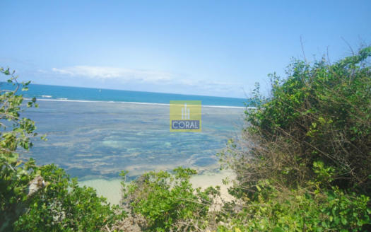 50 Acres Land For Sale In Msambweni – Kenyan South Coast