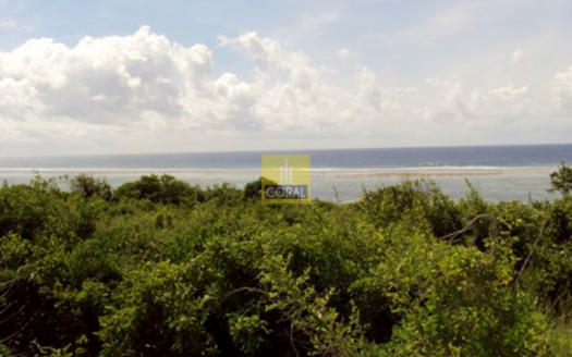 24 Acres Block Of Land For Sale In Tiwi Fronting The Indian Ocean