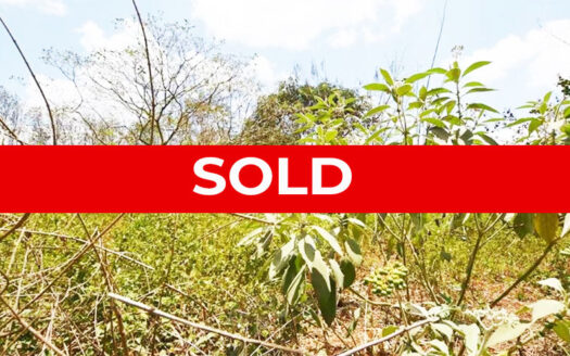 1 Acre Plot For Sale In Nyari