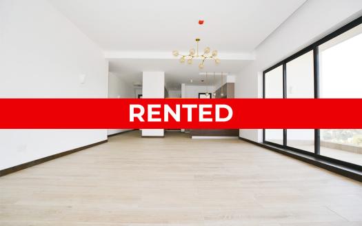 Modern 3 Bedroom Unfurnished Apartment For Rent In Rosslyn