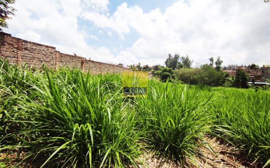 0.68 Acre Plot For Sale In Thome