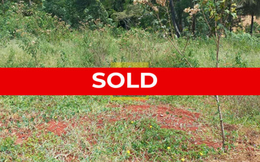 Half Acre Plot For Sale Near Nyari