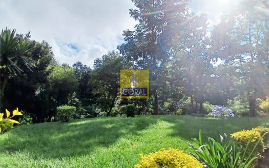 Embrace Opportunity: Fixer-Upper Property for Sale in the Heart of Loresho