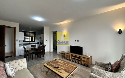 Unfurnished 2 Bedroom Apartments to let on Muthangari Drive