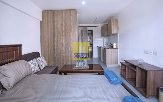 Elegant Urban Studio Apartments for Sale in Ngara