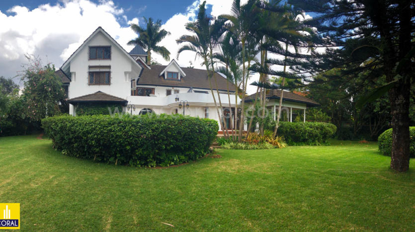 house for rent in nyari