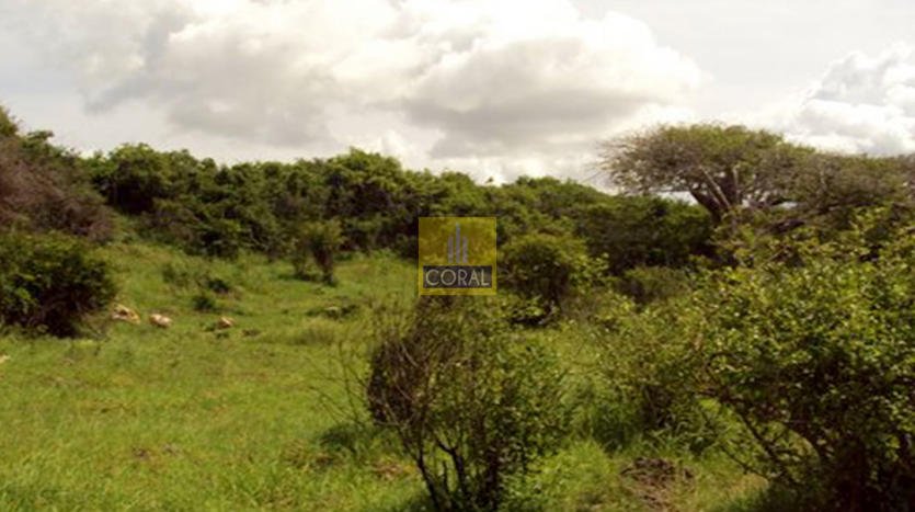 land for sale in tiwi