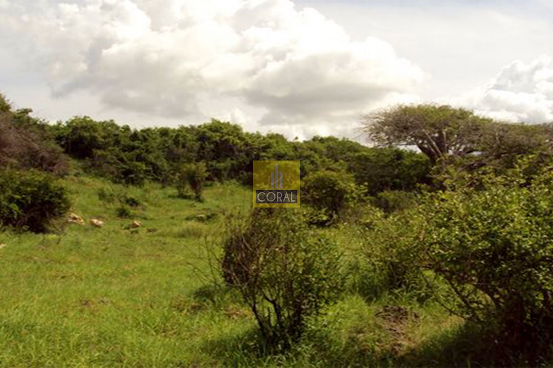 land for sale in tiwi