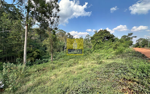 Serene Half Acre Plot For Sale In Nyari