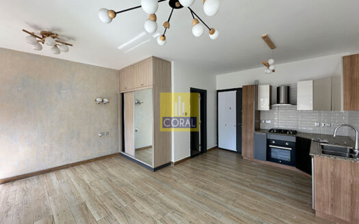 Modern Studio Apartment for Rent in Kileleshwa