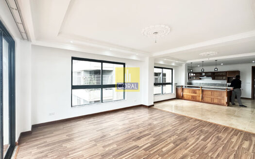 Modern 3 Bedroom Apartment to let in Parklands, Off Limuru Road