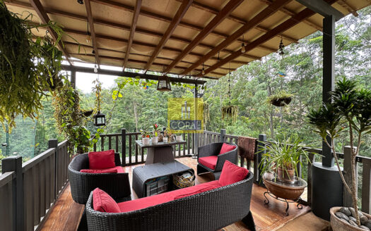 Luxury 4-Bedroom Family Home for Sale on Half an Acre | Exclusive Gated Community, Lower Kabete