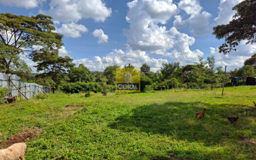 Scenic 1 Acre in Hardy, Karen