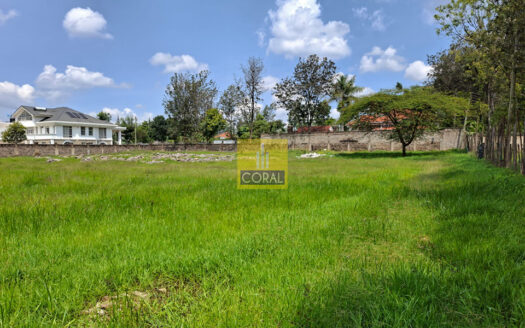 Ready-to-Build 1 Acre in Karen Plains