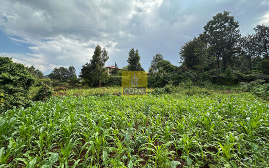 Prime Investment Opportunity: Approved Residential Development Site (1 Acre) | Ruaka