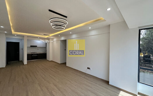 FOR RENT : Modern 2 Bedroom Apartment + DSQ in Westlands
