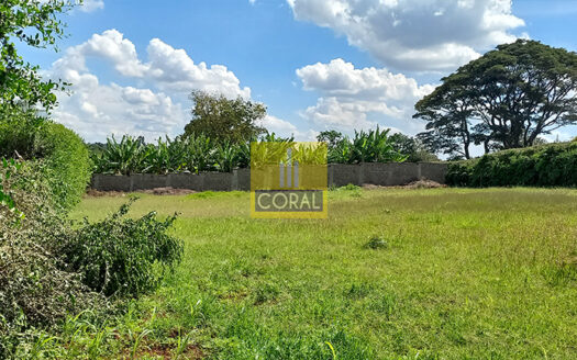 Residential Half-Acre Plot for Sale in Nyari
