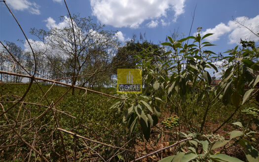 Half Acre Plot For Sale In Nyari