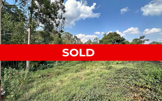 Serene Half Acre Plot For Sale In Nyari