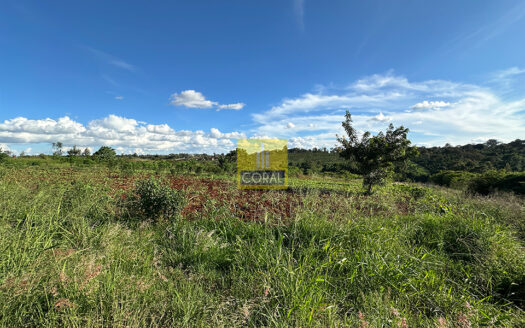 Prime Ruiru Plots for Sale – Mugutha–Murera Road
