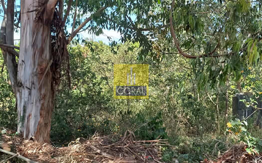 Rare Scenic Half Acre Plot for Sale in Rosslyn