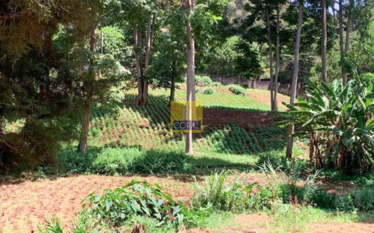 PRIME 1.25-ACRE PLOT | THIGIRI RIDGE FOR SALE