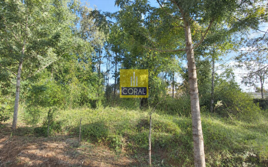 A Blank 0.84 Acre Canvas in Karen – Plot For Sale