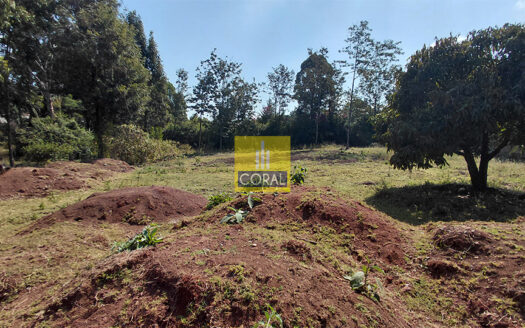 1 Acre For Sale in Karen Plains