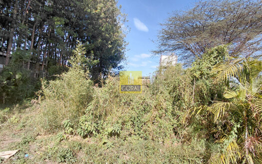 Strategic 0.5 Acre Plot on Ndege Road in Karen