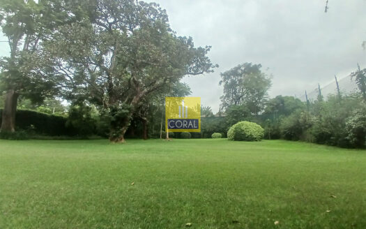 OLD MUTHAIGA | ½ ACRE OF PRIME LAND FOR SALE.