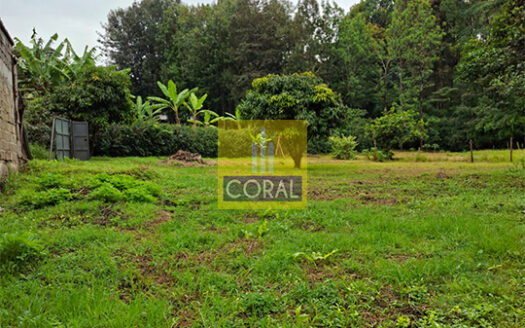 A Tranquil Half Acre in Miotoni, Karen
